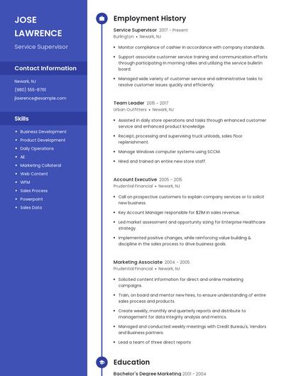 Resume example 4