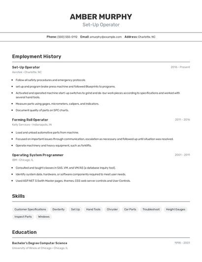 Resume example 2
