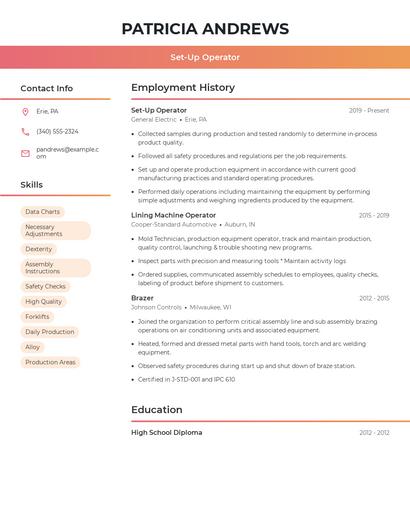 Resume example 3