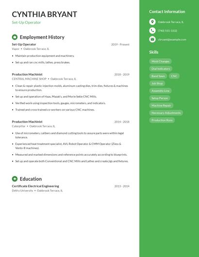 Resume example 5
