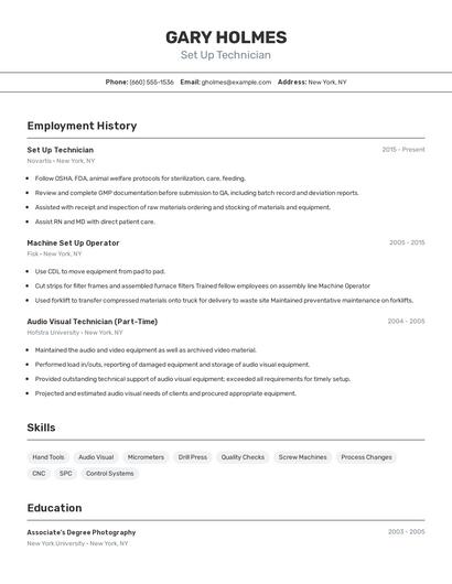 Resume example 2
