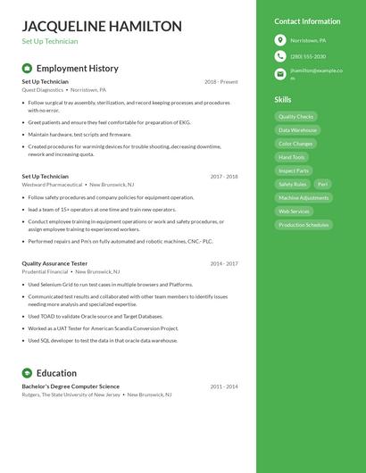 Resume example 5