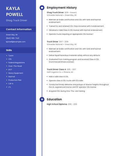 Shag Truck Driver Resume