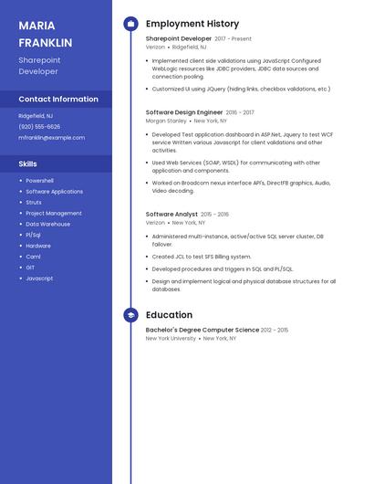 Resume example 4