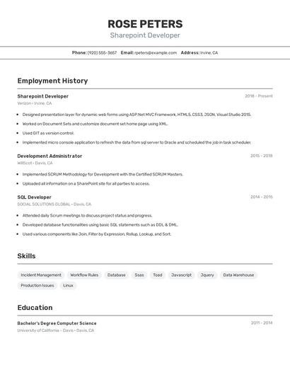 Resume example 2