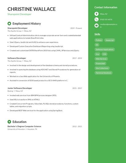Resume example 5
