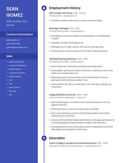 Resume example 5