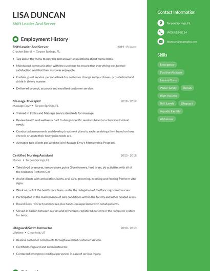 Resume example 4