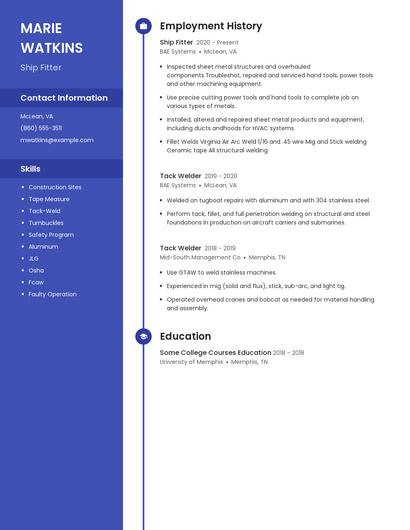 Resume example 5