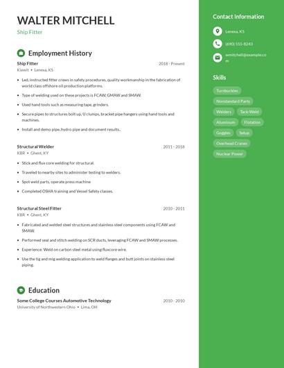 Resume example 4
