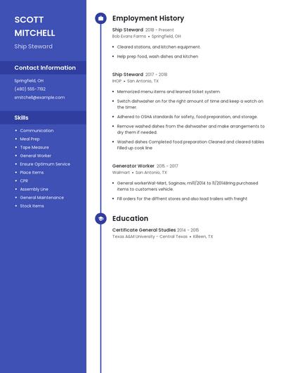 Resume example 4