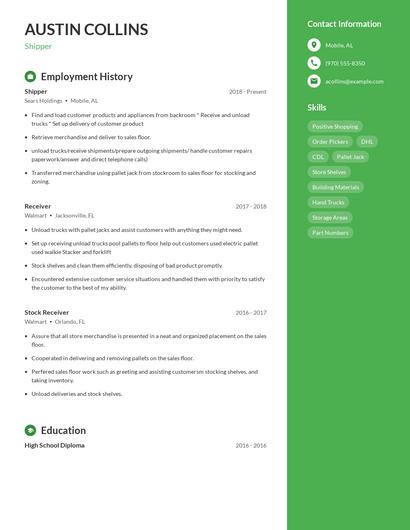 Resume example 4