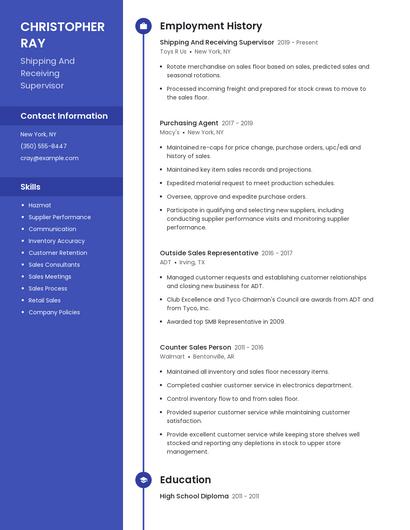 Resume example 5