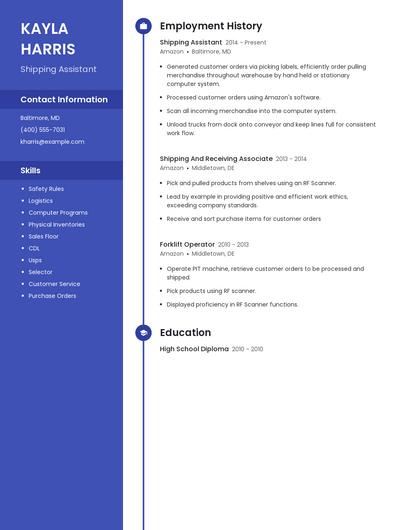 Resume example 5