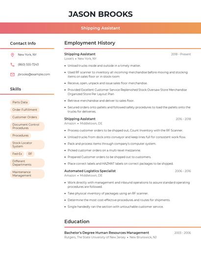 Resume example 3