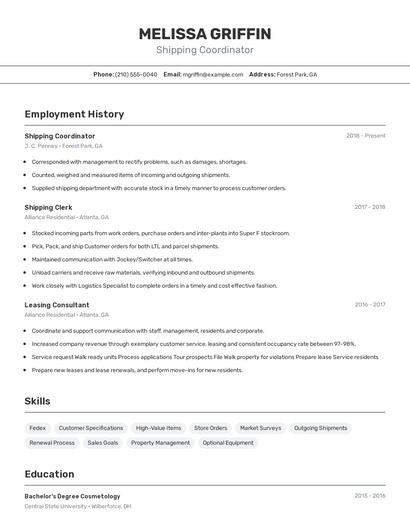 Resume example 2