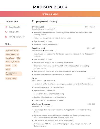 Resume example 3