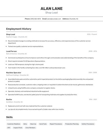 Resume example 2
