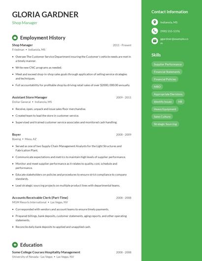 Resume example 4