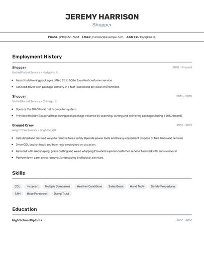 Resume example 2