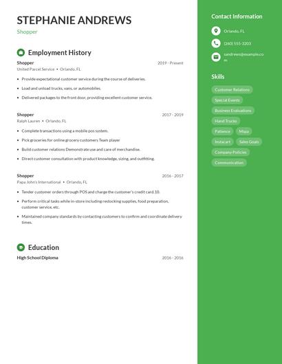 Resume example 5