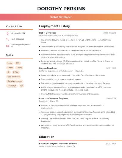 Siebel Developer Resume