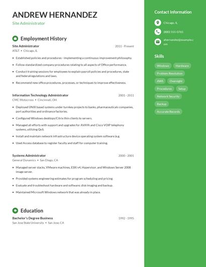 Resume example 5