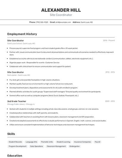 Resume example 2