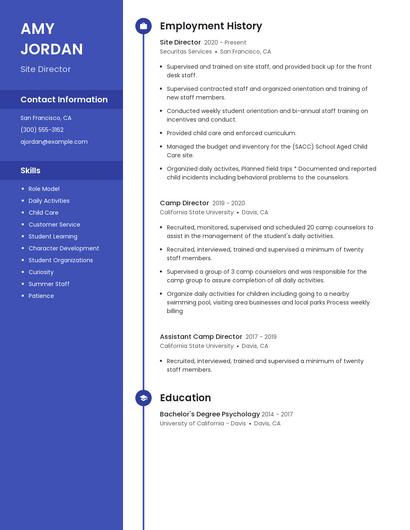Resume example 5
