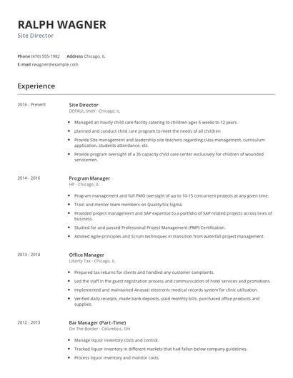 Site Director Resume