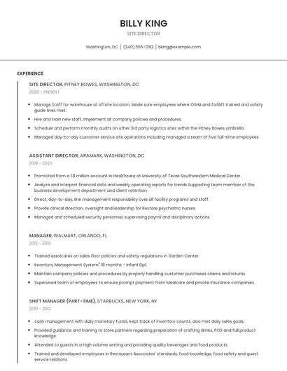 Site Director Resume