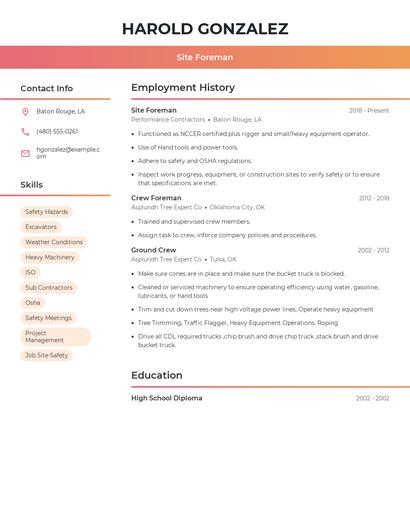 Resume example 3