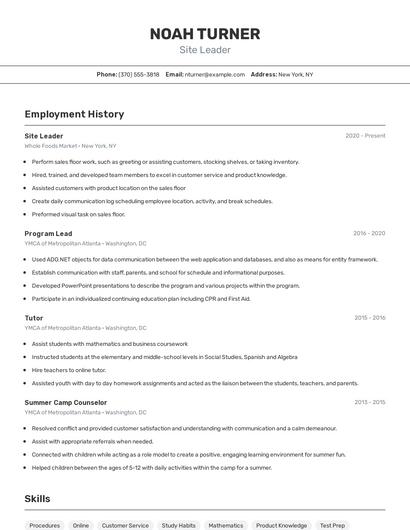 Site Leader Resume