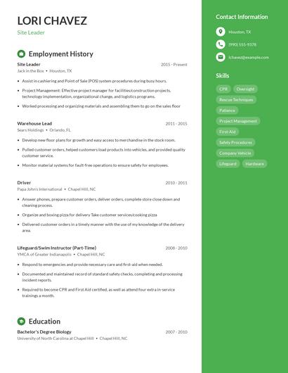Resume example 4