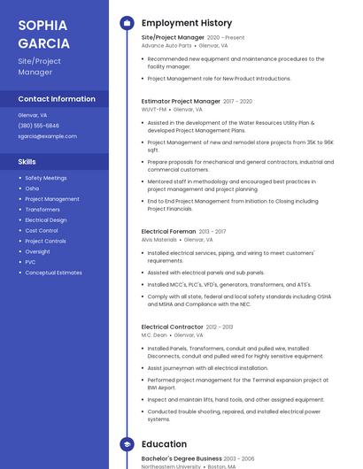 Resume example 5