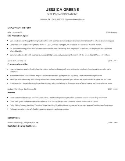 Site Promotion Agent Resume