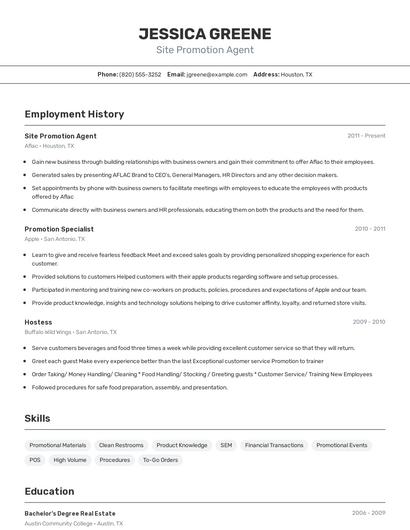Site Promotion Agent Resume