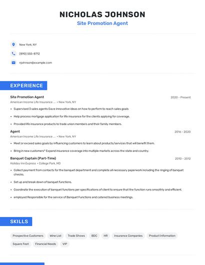 Site Promotion Agent Resume