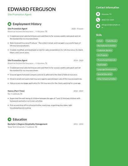 Site Promotion Agent Resume