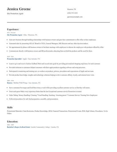 Site Promotion Agent Resume