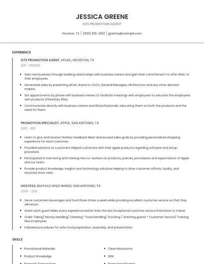 Site Promotion Agent Resume