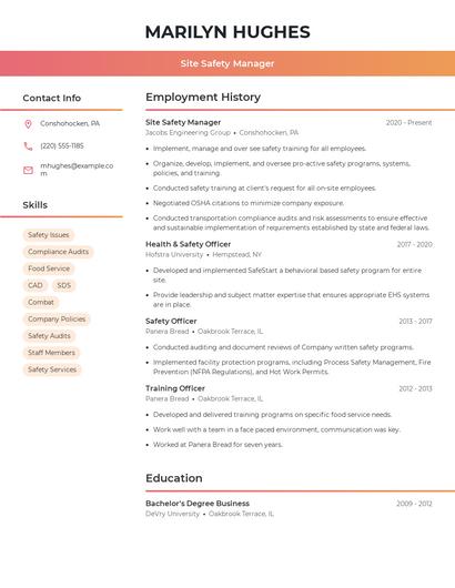 Resume example 3