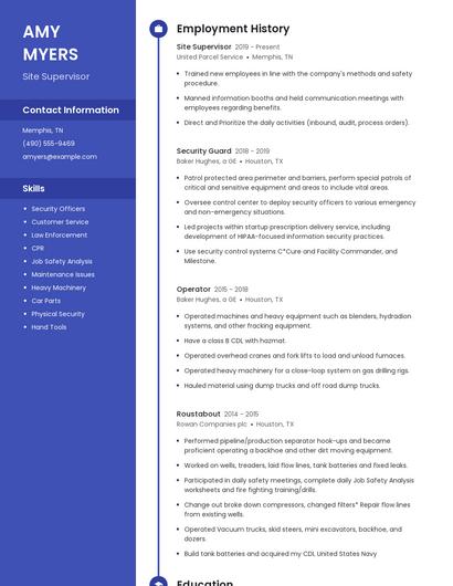 Resume example 5