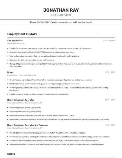 Resume example 2