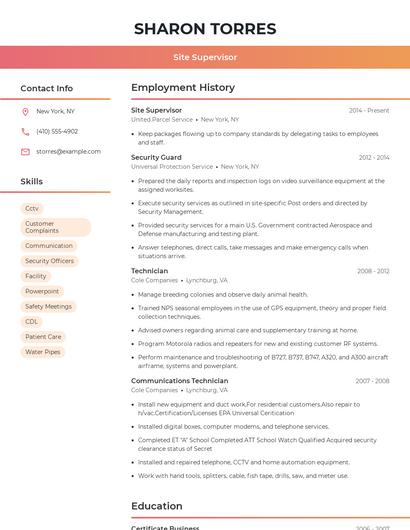 Resume example 3