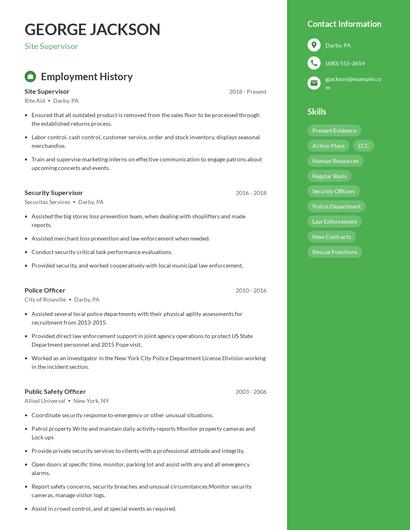 Resume example 4