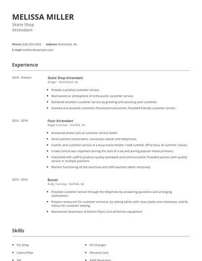Skate Shop Attendant Resume