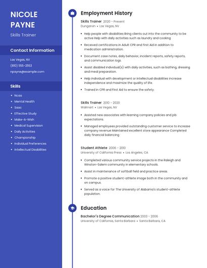 Resume example 5