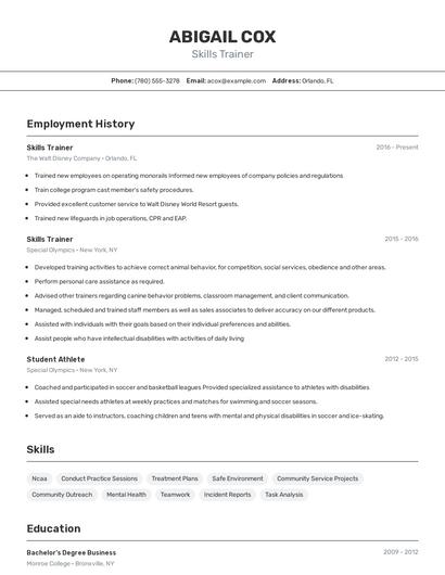Resume example 2