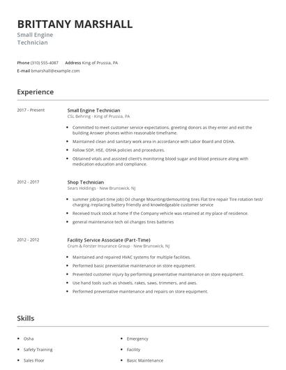 Small Engine Technician Resume